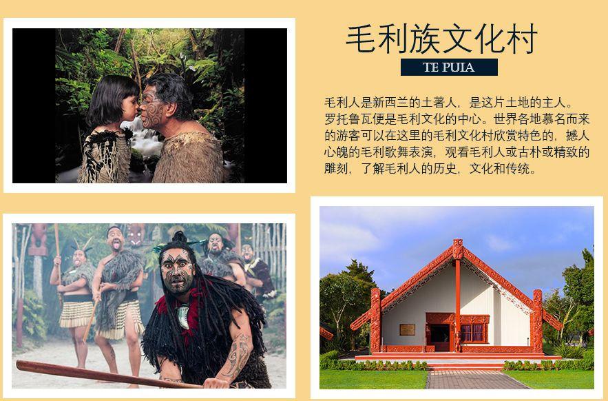 阳光旅行家一生必游童话新西兰自驾醉美星空下