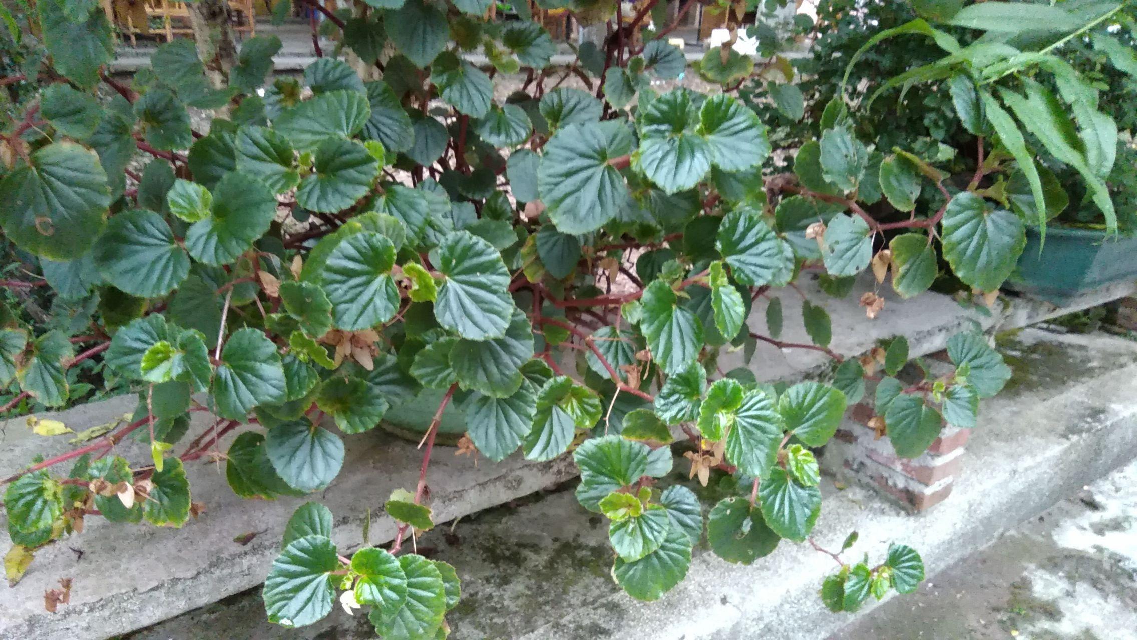 有哪些好看的锁屏壁纸