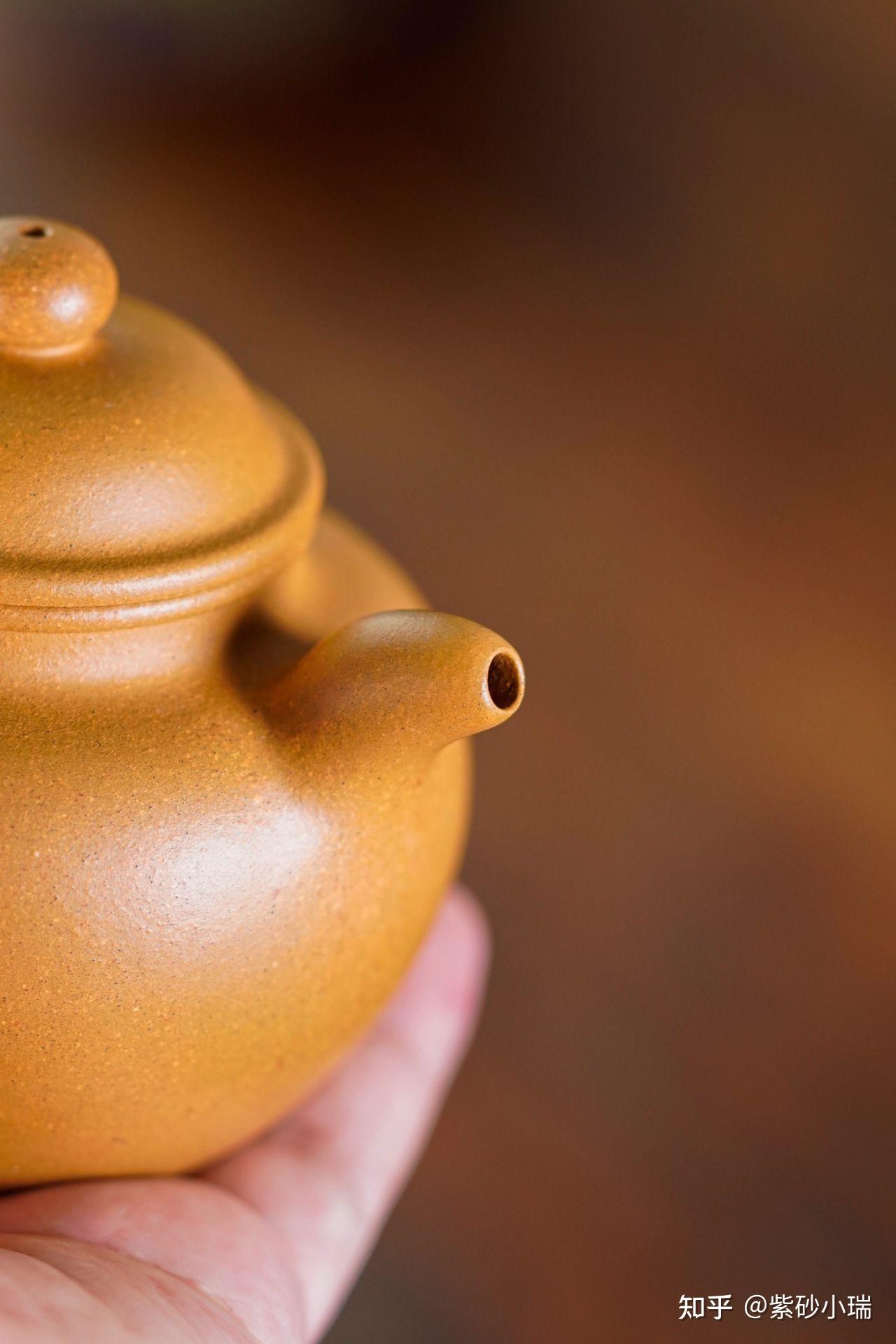 莲子250cc张丽娟