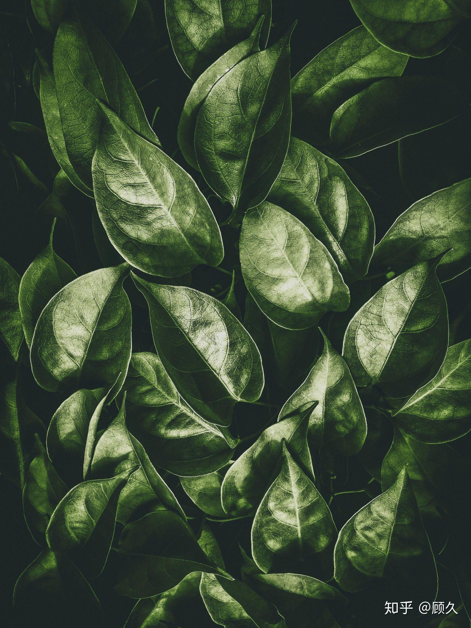 1536_2048竖版 竖屏