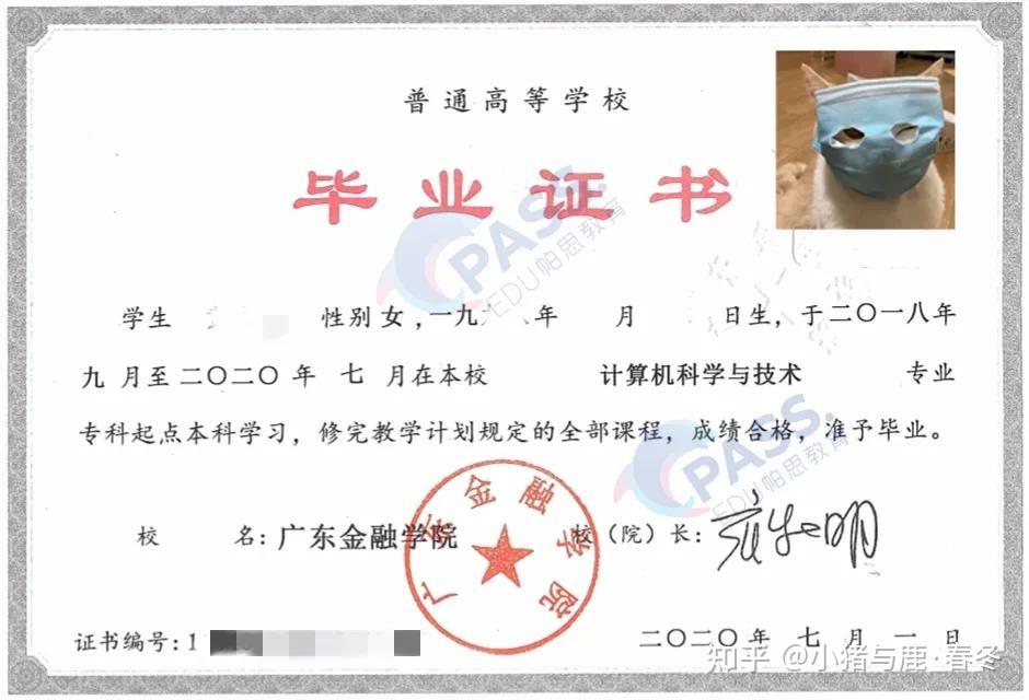 吕梁英雄传电视剧
