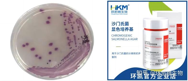 常见微生物菌落形态图及比较 - 知乎