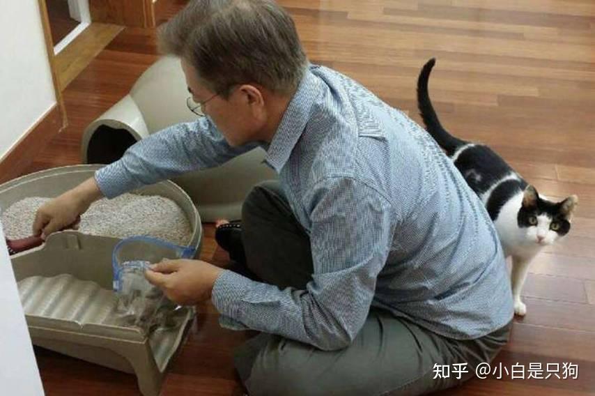 养猫人“痛苦等级”,你能接受多少?第五无人能接受! - 知乎