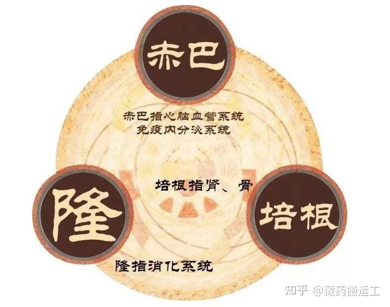 浅谈中医的「气」与藏医的「龙」 - 知乎