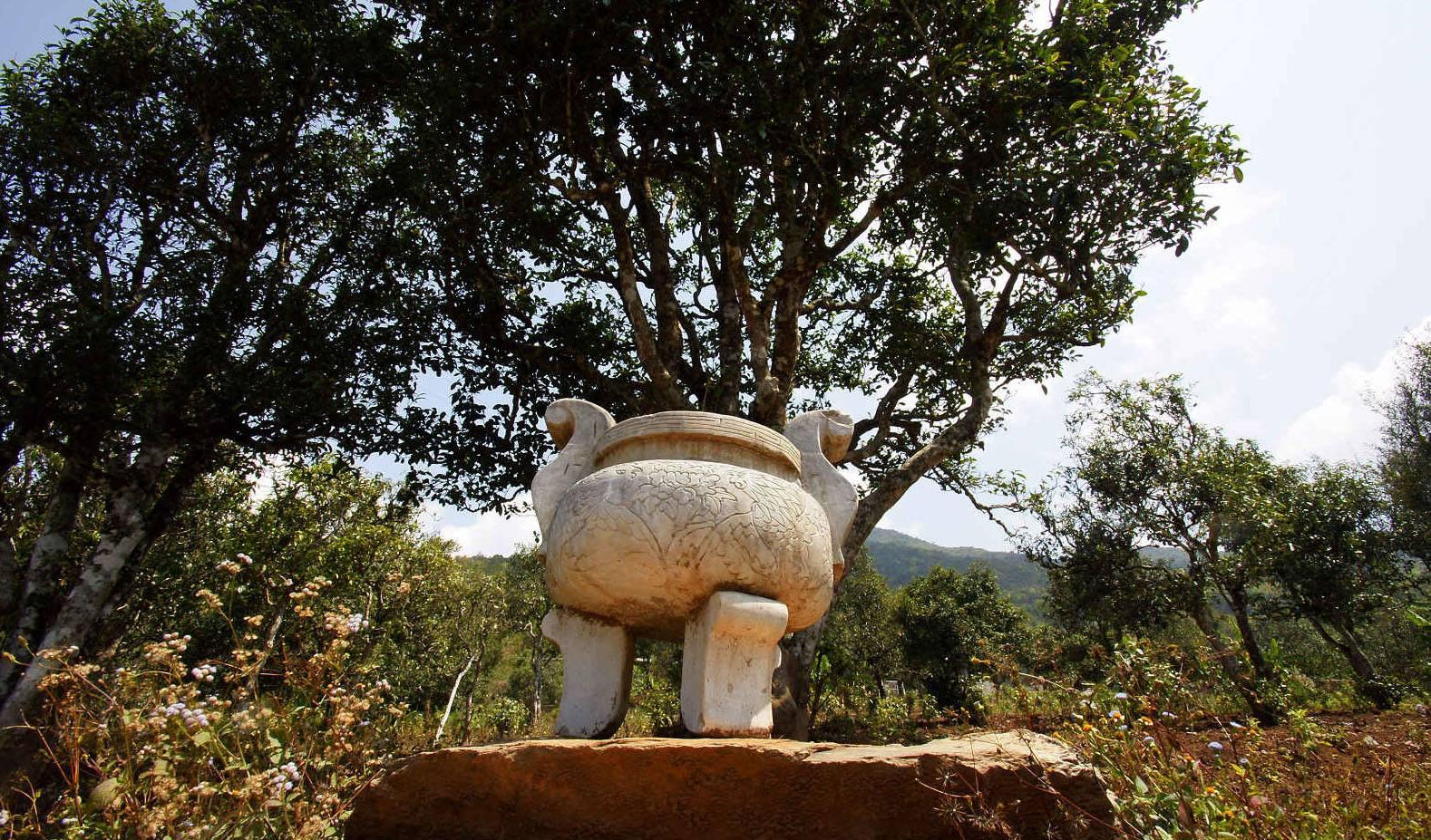 走进皇家御茶园——困鹿山