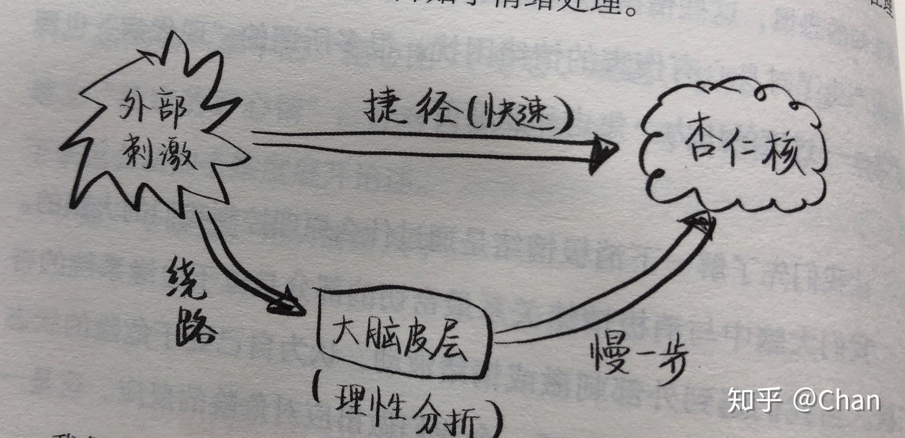 什么办法可以快速冷静下来 v2-391d0c064e08b8200df7e7c554e0fb7e_r.jpg