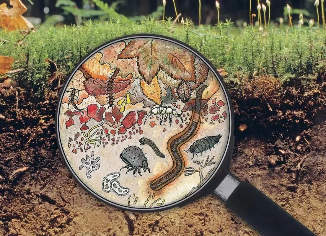 气候变化下土壤微生物怠工记