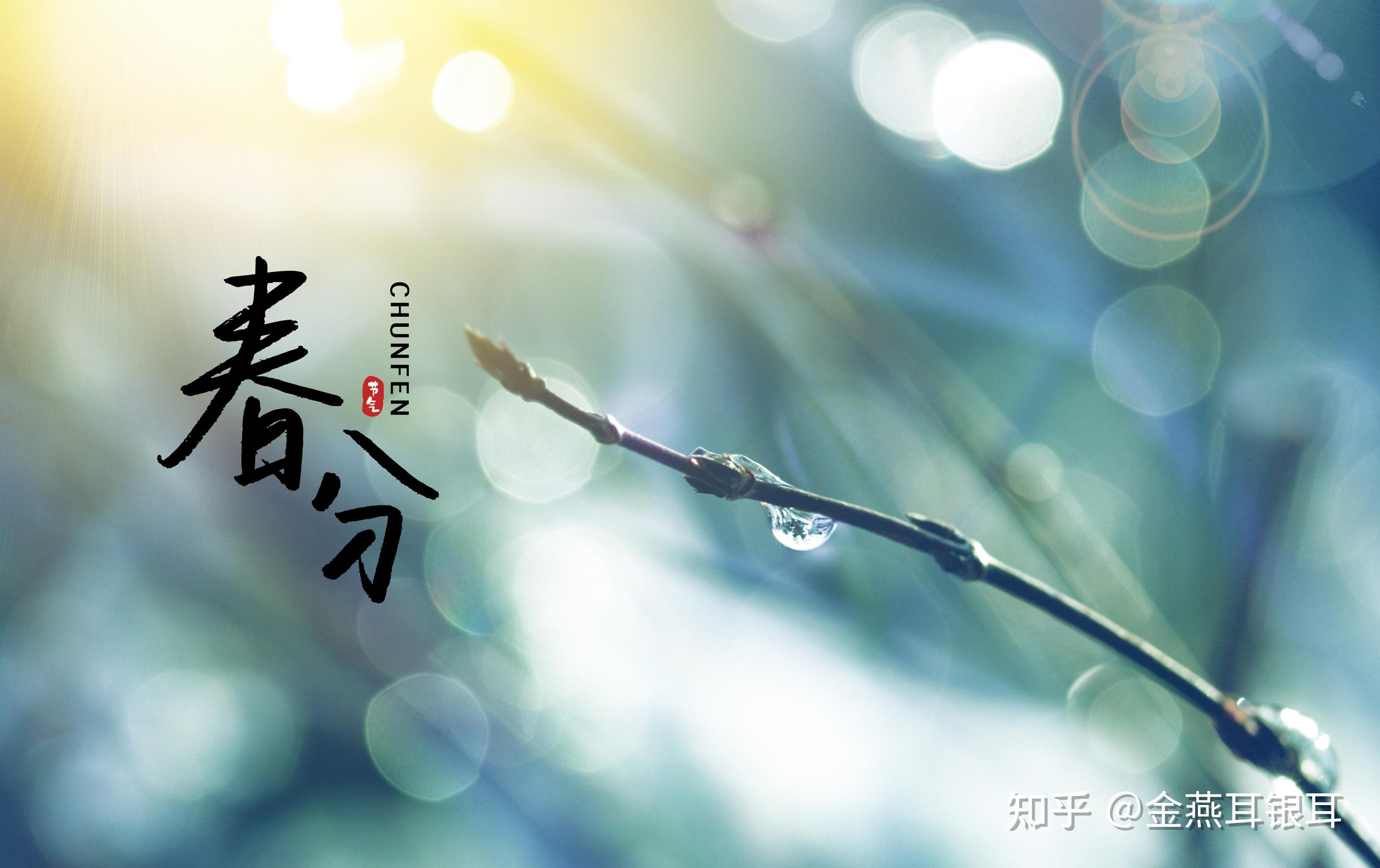 春分养生正当时分体质食疗更有效提高抵抗力少生病