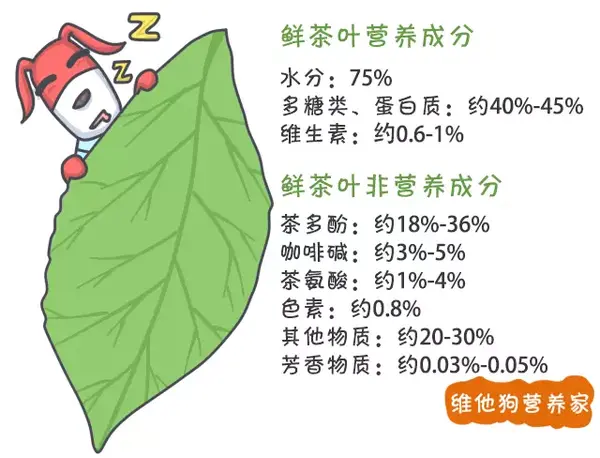 茶艺师都未必说得清楚的茶叶知识 几张图让你秒懂 中秋送礼必备 维他狗 知乎