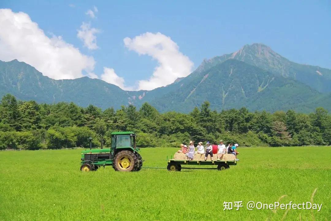 日本自然学校为什么这么火?
