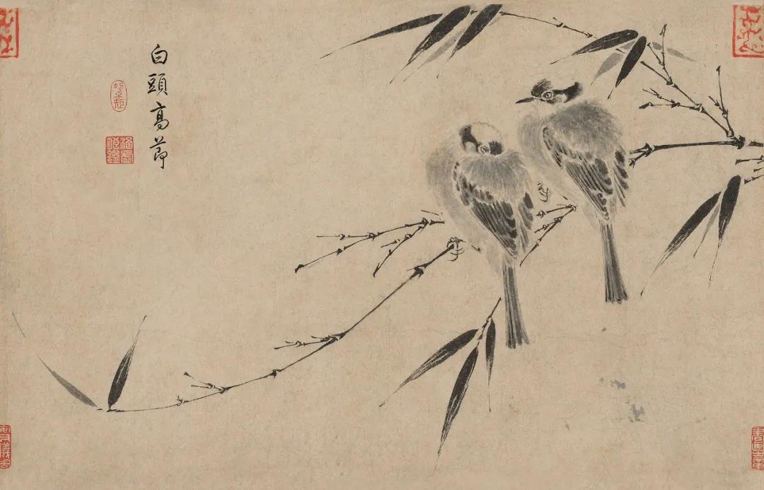 石渠宝笈名迹丨宋徽宗写生珍禽图