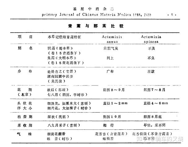 青蒿与黄花蒿的区别图片