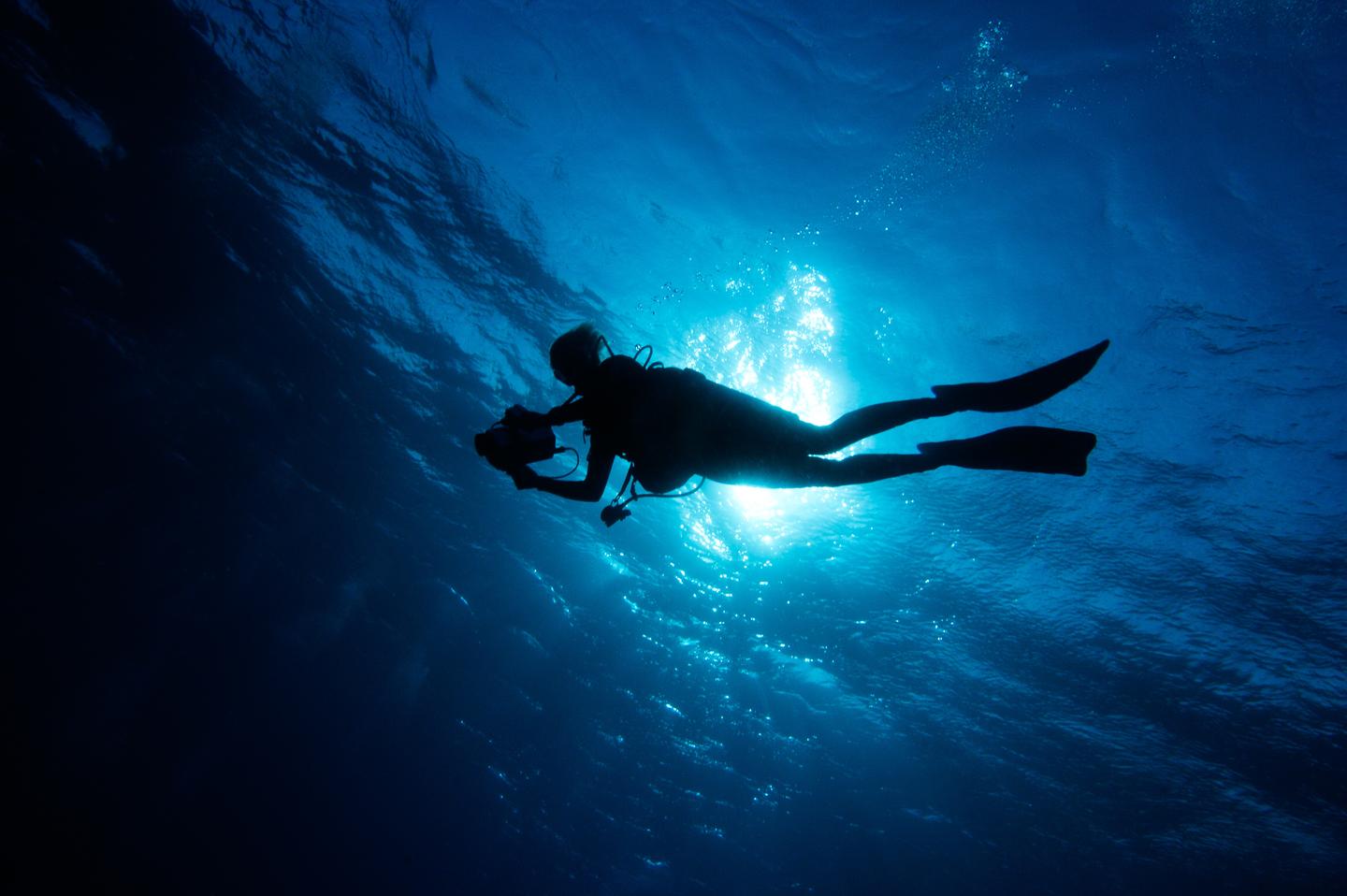水下摄影系列3 1 水中摄影环境变化 知乎