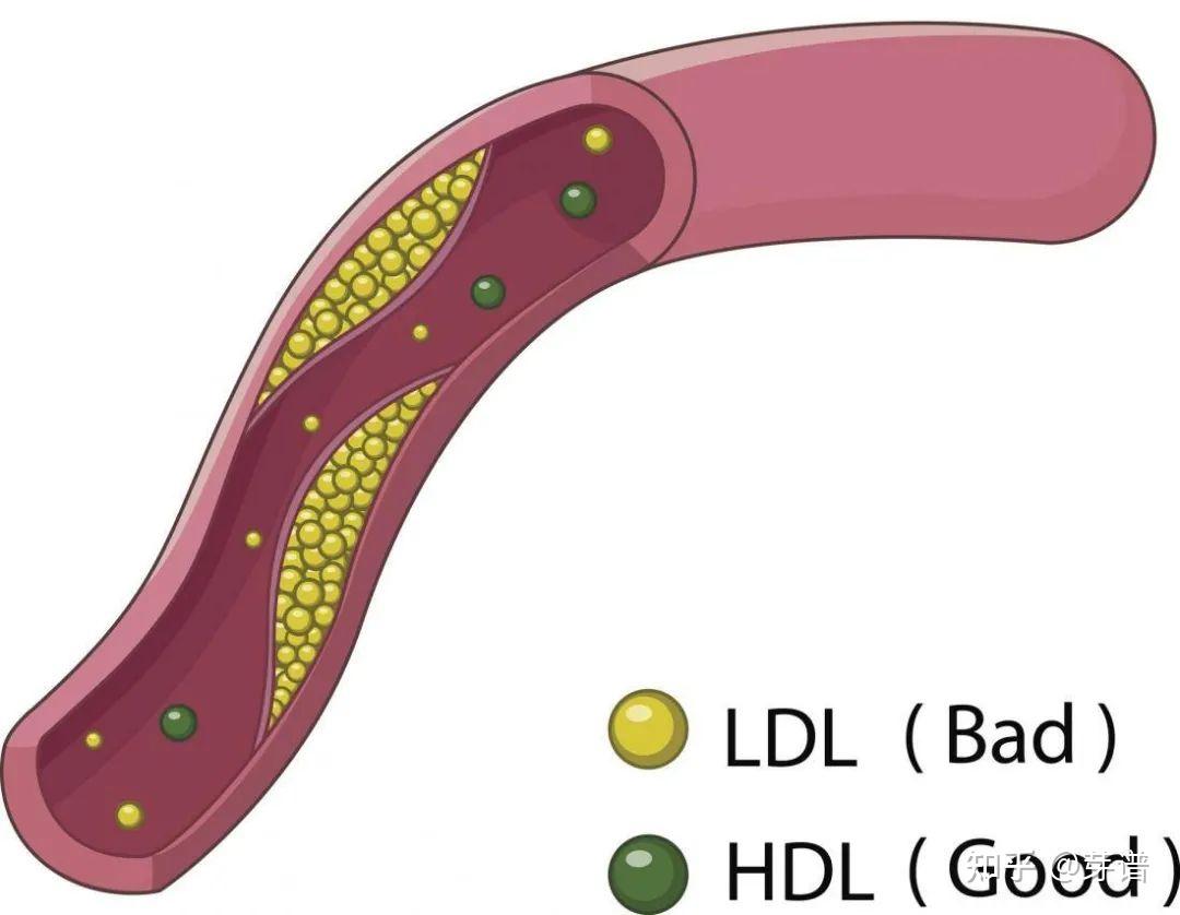 8-foods-that-lower-bad-cholestrol-low-cholesterol-recipes-low