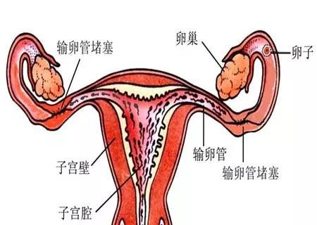 v2-39a8c0df02ea98f77f3ff79c46419bcb_1440w.jpg?source=172ae18b