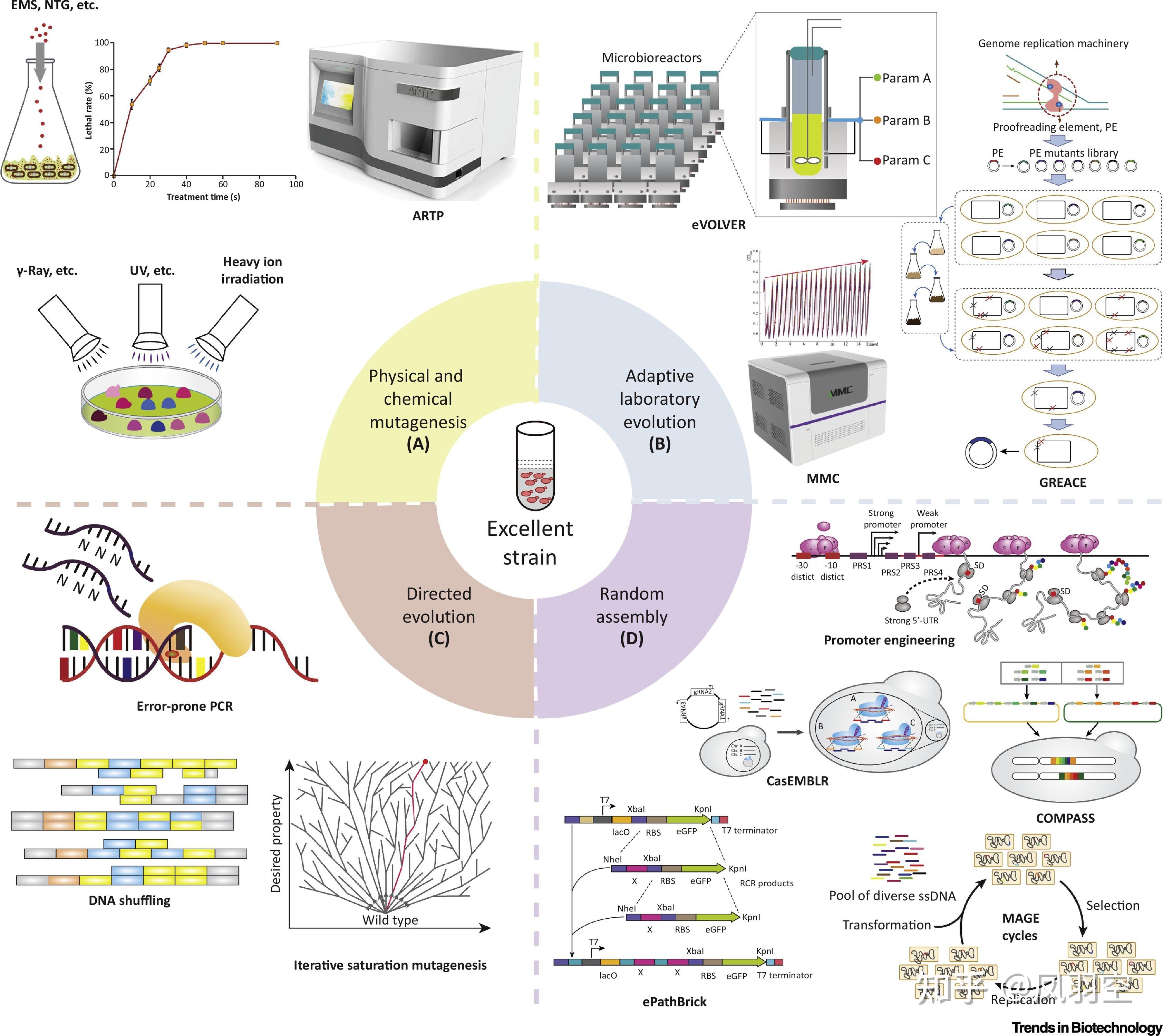 Hamilton Htp Screening Methods High-throughput screening(HTS) - 知乎