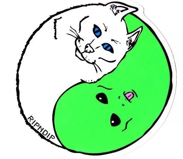 ripndip是如何引起年轻人注意的