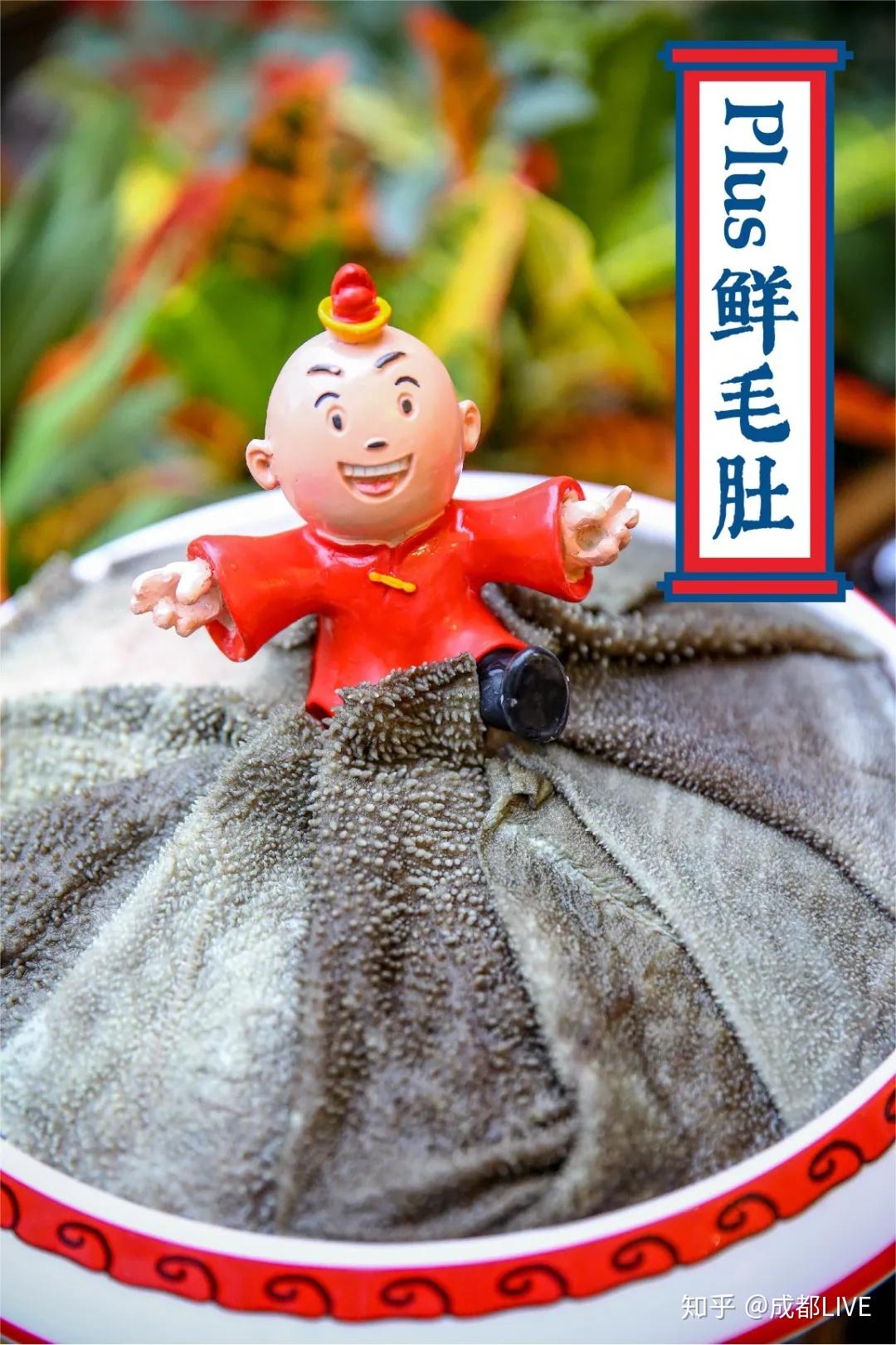 滚烫的火锅醇厚的茶沸腾出全新的矮冬瓜