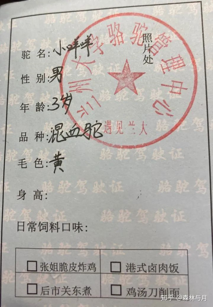 都骑骆驼上学",emm虽然是假的,但学校索性顺坡下驴,搞出来个骆驼证