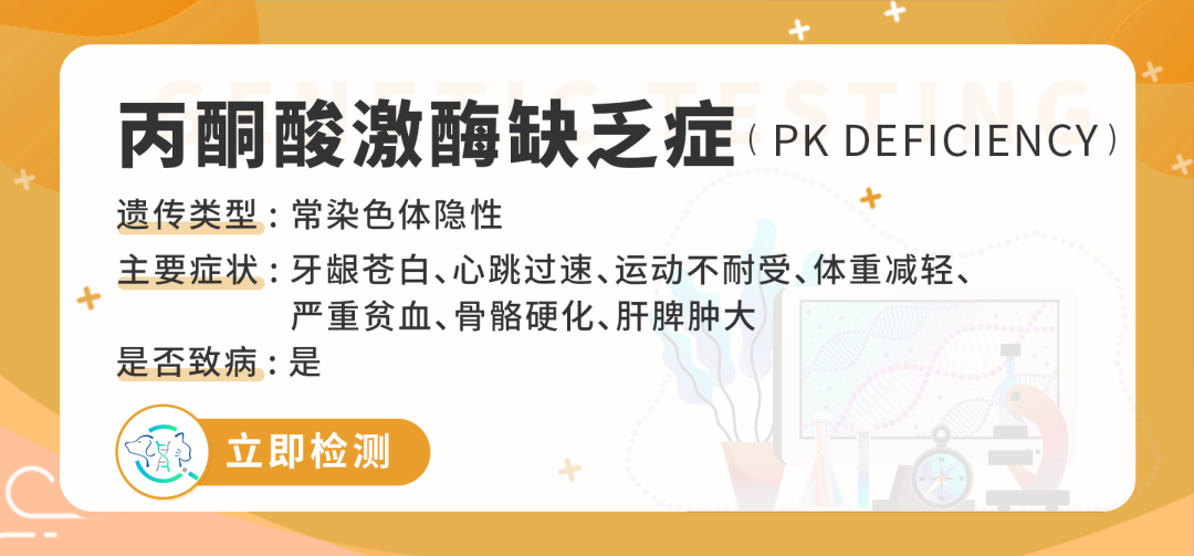 乾貨分享丙酮酸激酶缺乏症犬貓貧血的原因之一