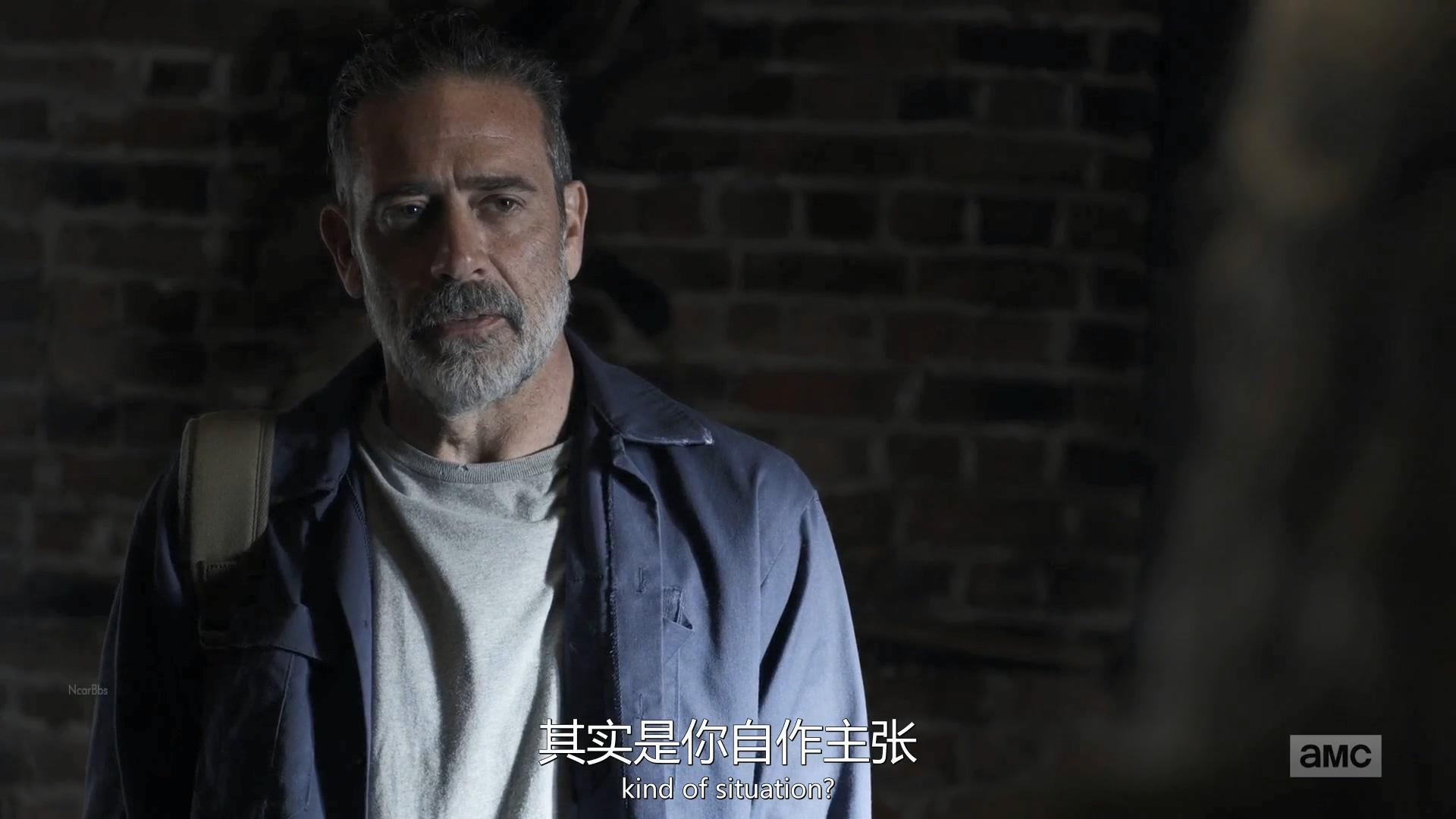 行尸走肉s10e22真实的尼根