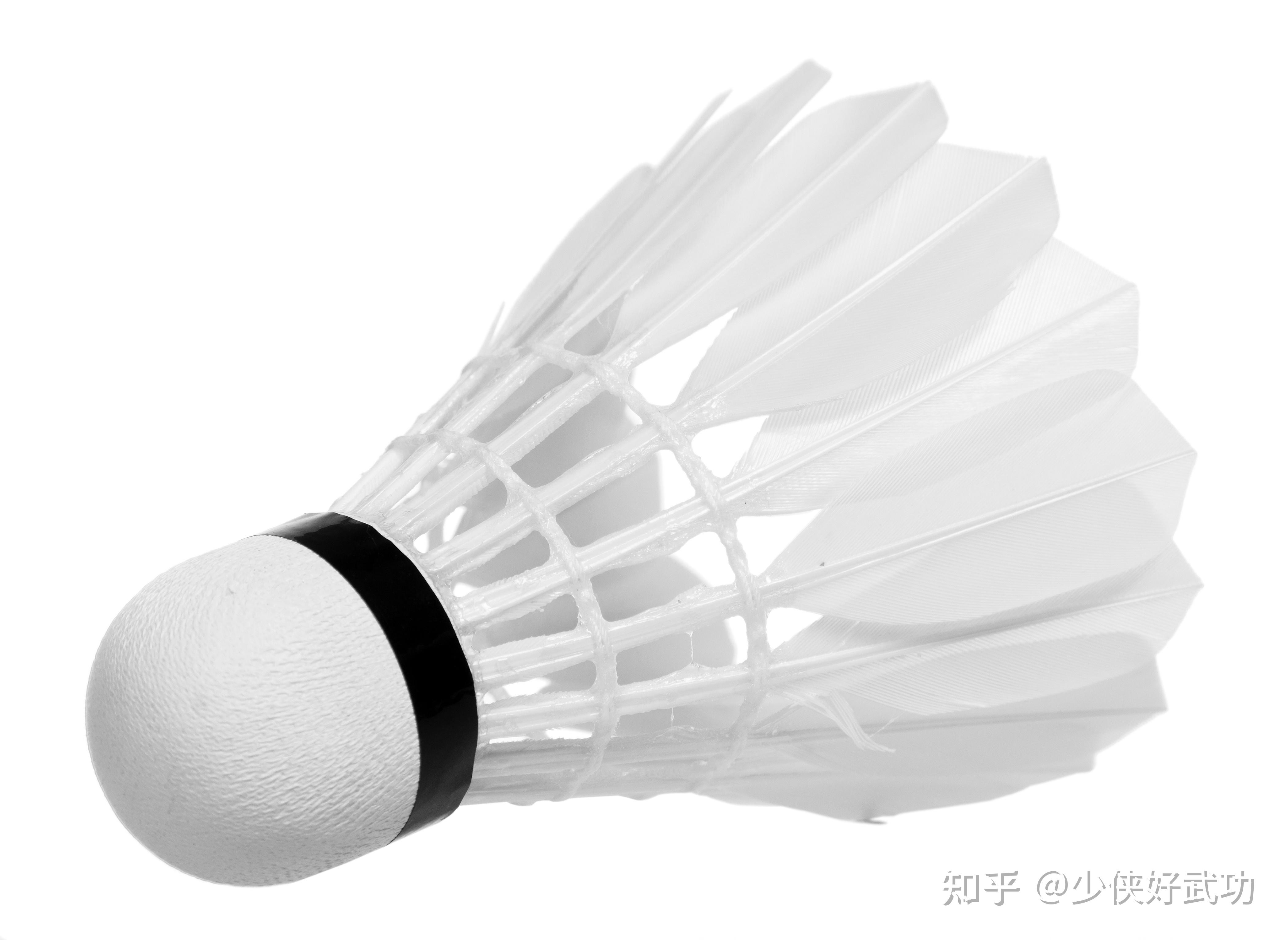 中国移动羽毛球邀请赛摄影图片-中国移动羽毛球邀请赛摄影作品-千库网