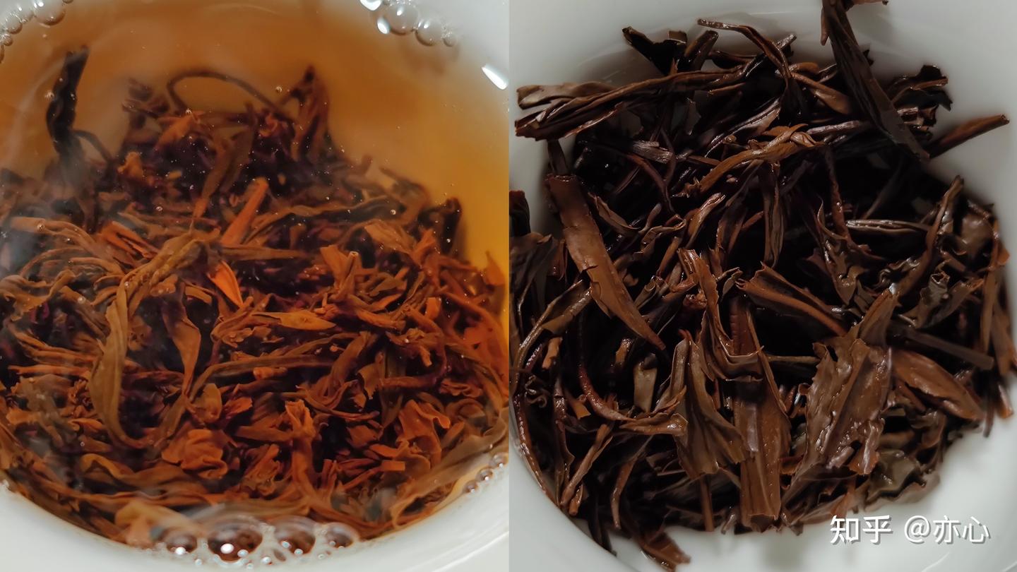 祁红特绝群芳最,清誉高香不二门——浅谈祁门红茶 - 知乎