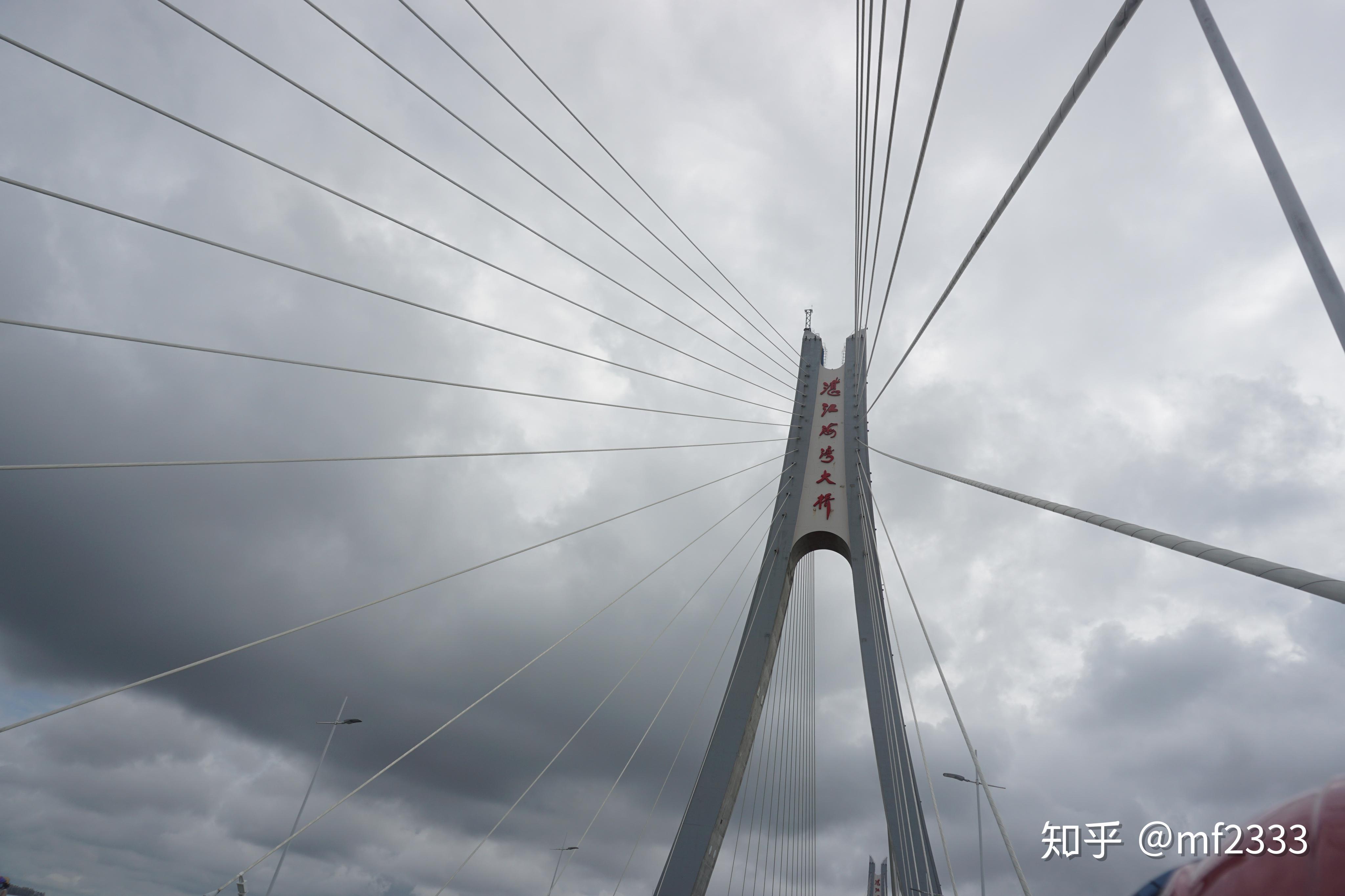 湛江坡头乾塘荷花文化节