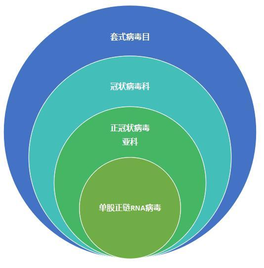 冠状病毒和新型冠状病毒
