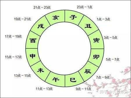 十二地支的作用与应用- 知乎