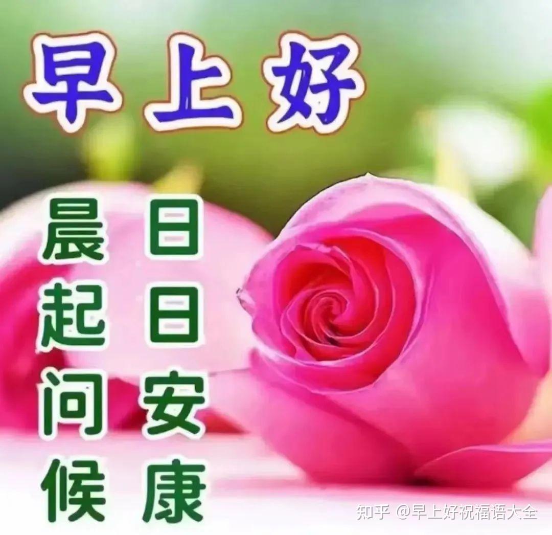 6月16日周五早上好，早安创意祝福暖心图片 - 知乎