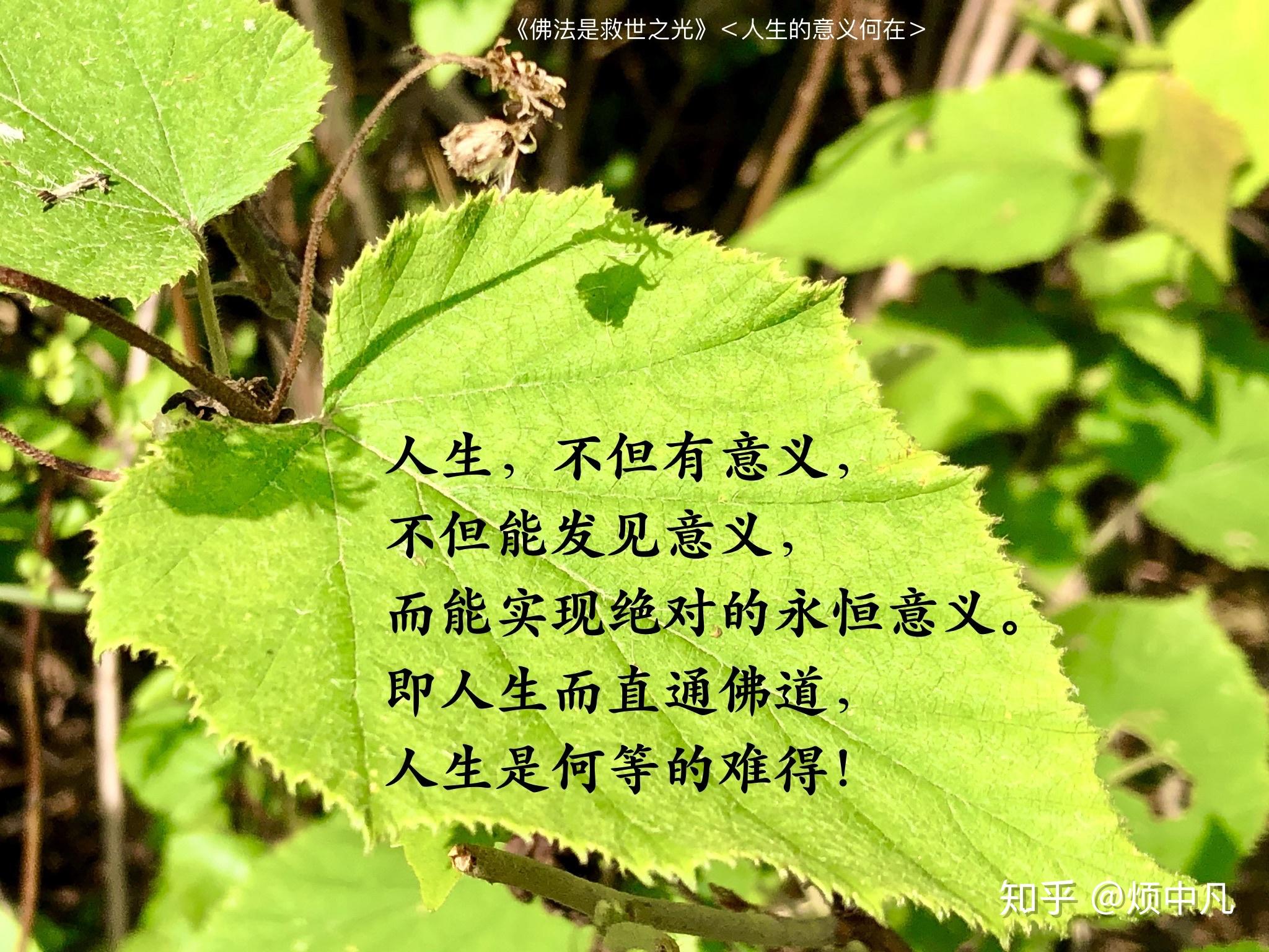 人生能实现究竟意义