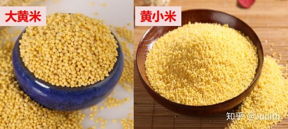 养生课堂大黄米和黄小米有什么区别哪个营养价值更高