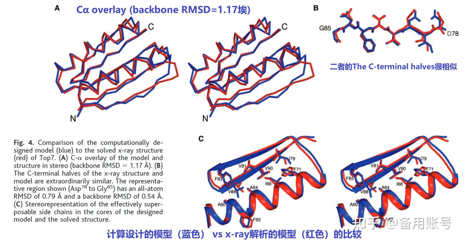 经典文章1designofanovelglobularproteinfoldwithatomiclevel