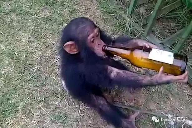 高考英语140以上是一种什么体验?怎么做到的