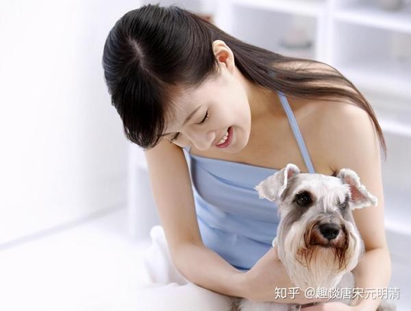 鸡犬不宁的含义