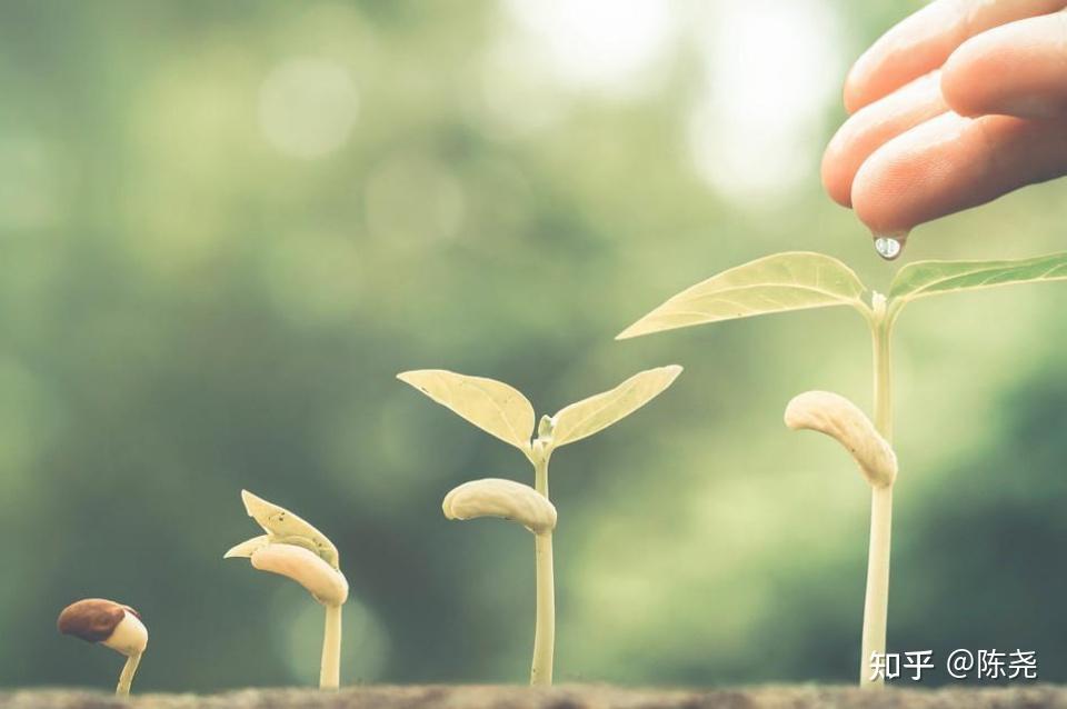 罗森塔尔效应:家校结合,双轨并行,齐头并进,让孩子越来越优秀 - 知乎