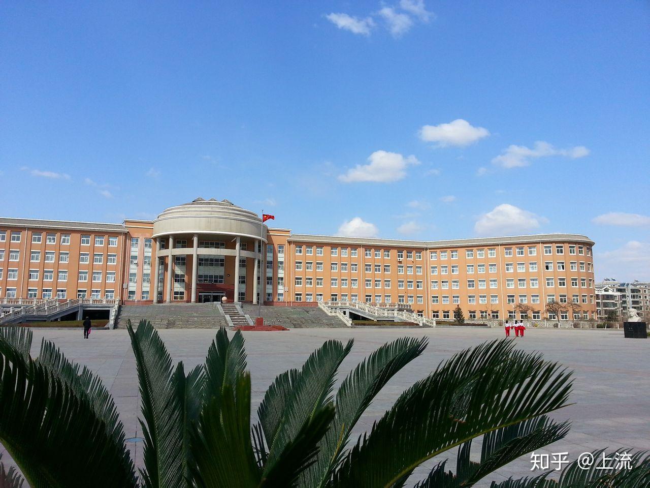 东北返乡观察老家又多了7家卖貂儿的