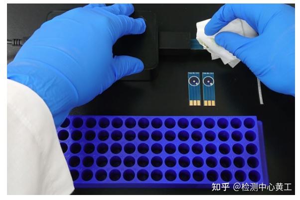 郑家瑜