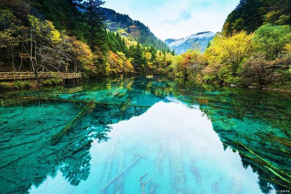 四川旅游攻略九寨沟黄龙峨眉山乐山5日游含吃住行游人均千元攻略分享