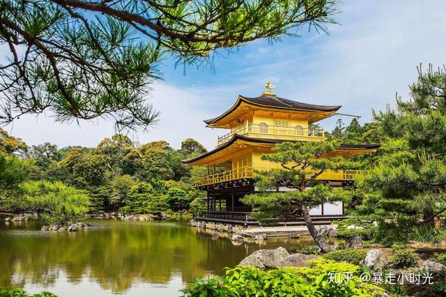 跟着大师去旅行丨三岛由纪夫金阁寺