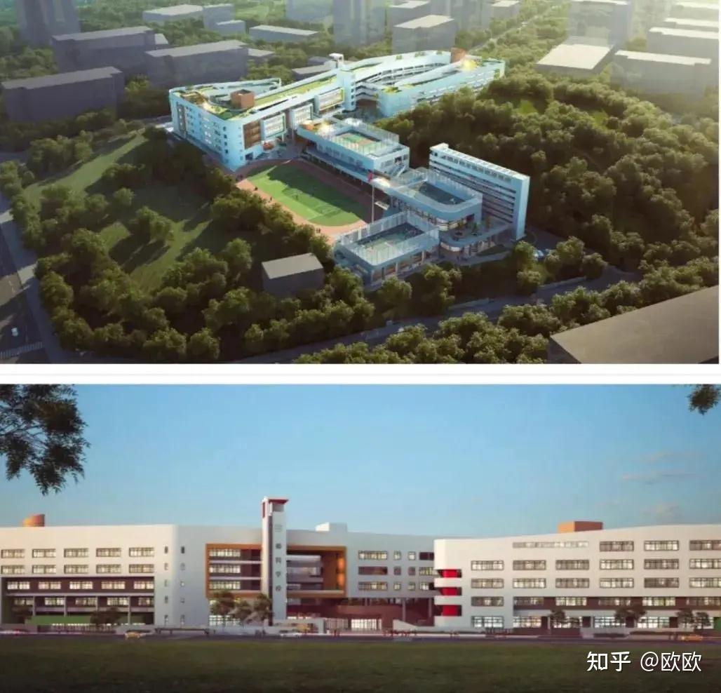 04/深圳市龙华区行知学校