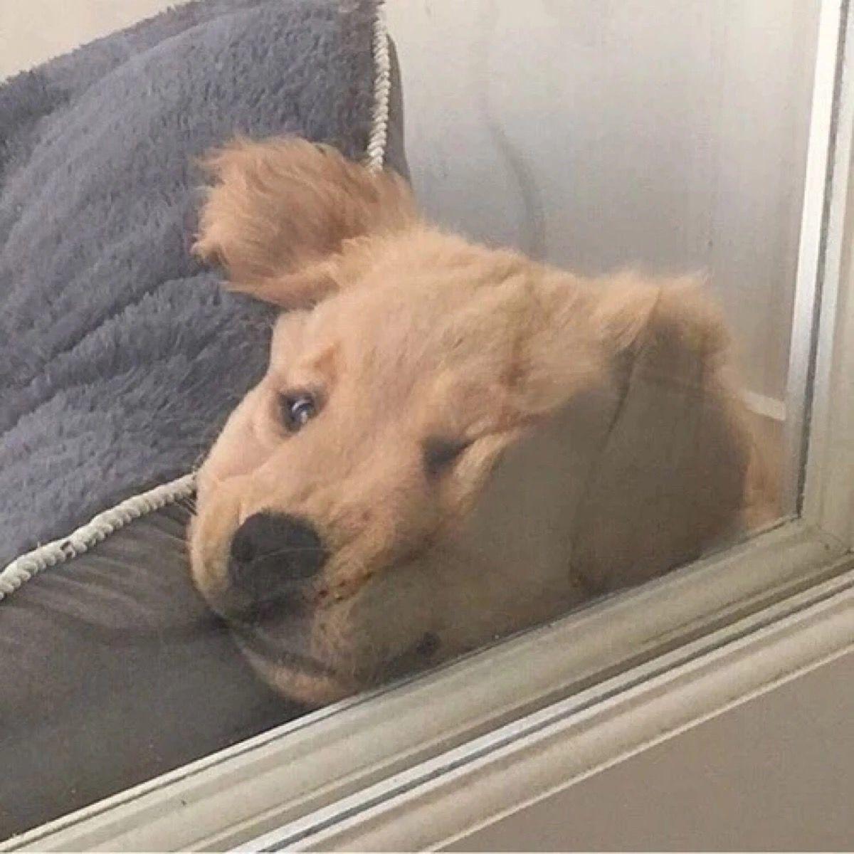 小众奇怪创意头像合集