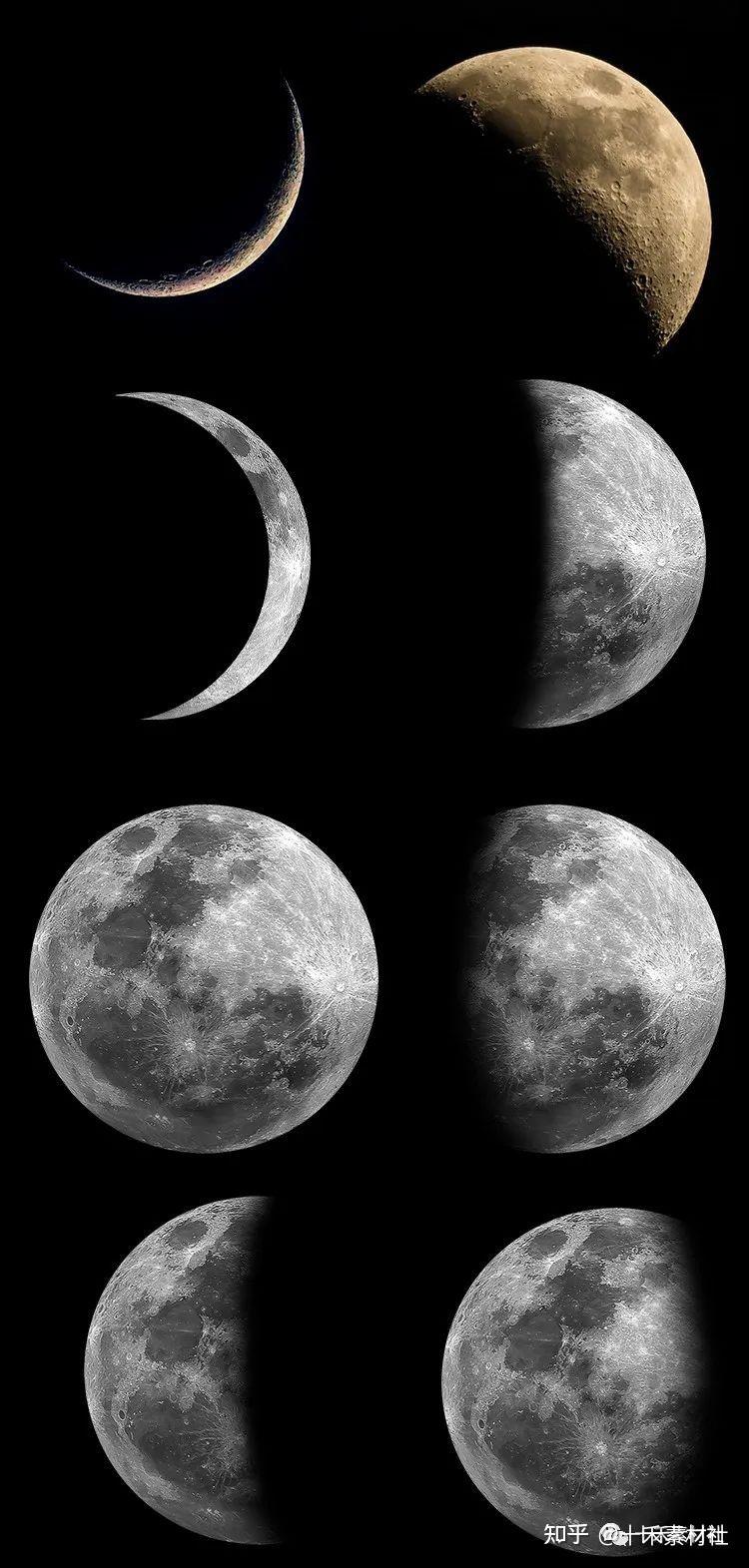 45款月亮剪影笔刷(ps procreate) 20款中国风烫金中秋背景 月亮叠加