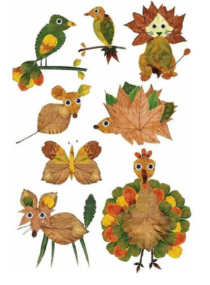 绘本但是别看树叶拼贴画形式简单它也有高阶玩法哦~▲这是不是另一种