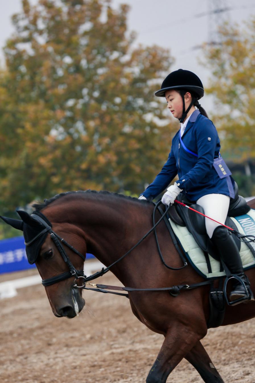 河北省青少年马术锦标赛在石家庄落下帷幕