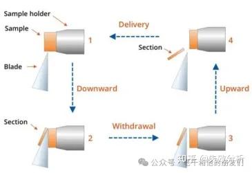 透射电镜（TEM）样品制备方法解读 - 知乎