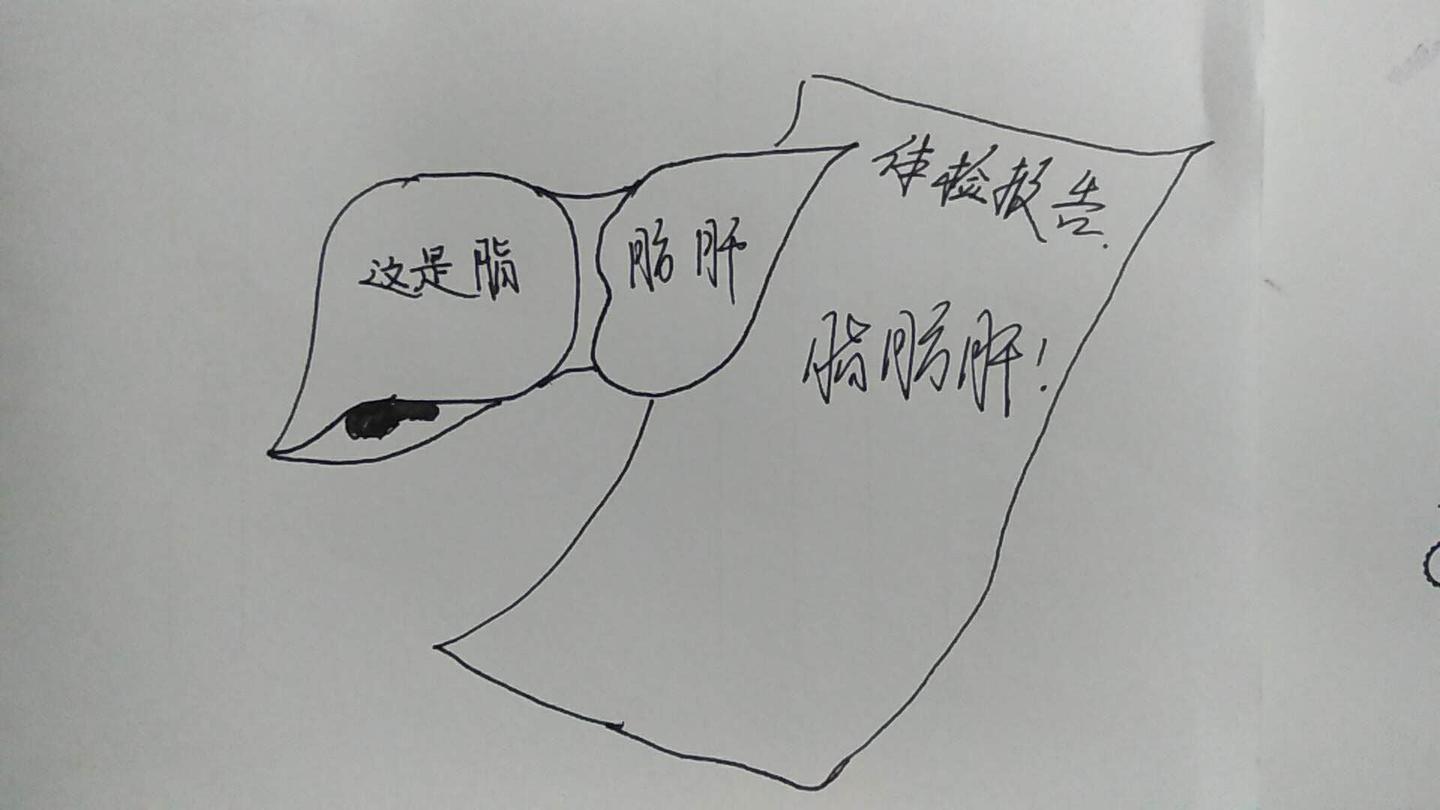 四成中国人患上脂肪肝面对脂肪肝我们该怎么办