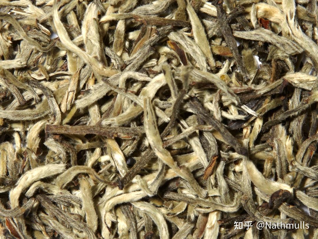大吉岭白茶,不止是珍贵! - 知乎
