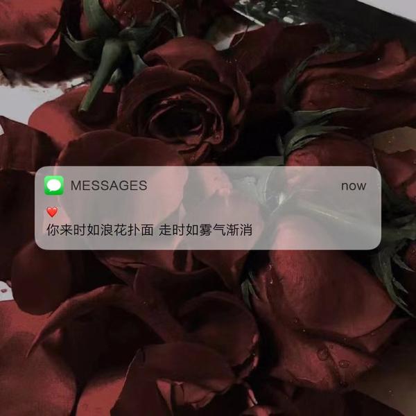 极致温柔的文案句子 - 知乎